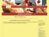 domaene-salzdahlum.de Webseite Vorschau