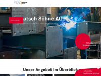 donatsch-ag.ch Webseite Vorschau