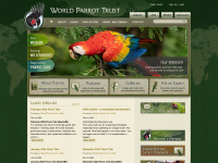 parrots.org Webseite Vorschau