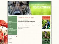 mohnwiese.de Webseite Vorschau