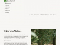 wald-mv.de Webseite Vorschau