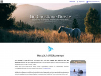 dr-christiane-droste.de Webseite Vorschau