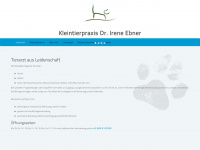 dr-ebner.at Webseite Vorschau