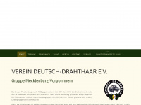 drahthaar-mecklenburg.de Thumbnail