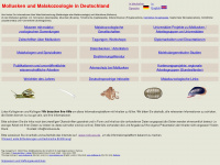 mollusca.de Webseite Vorschau