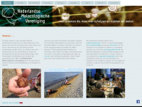 spirula.nl Webseite Vorschau