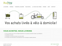 dringdring.ch Webseite Vorschau