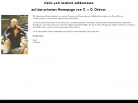 druener-web.de Webseite Vorschau