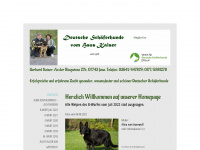 dsh-kaiser.de Webseite Vorschau