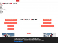 dualski-bellwald.ch Webseite Vorschau