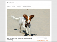 duesseldogs.de Webseite Vorschau