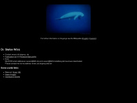 dugong.de