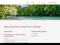 dvmg.ch Webseite Vorschau