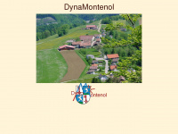dynamontenol.ch Webseite Vorschau