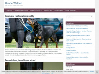 hunde-welpen.org Webseite Vorschau