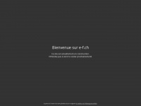 e-f.ch Webseite Vorschau