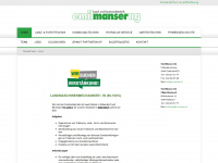 e-manser.ch Webseite Vorschau