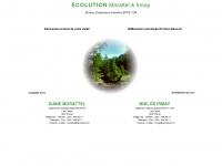 ecolution.ch Webseite Vorschau