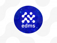 edms.ch Webseite Vorschau