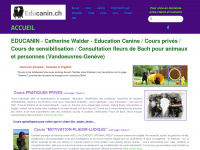 educanin.ch Webseite Vorschau