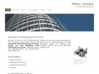 efc-consulting.de Webseite Vorschau