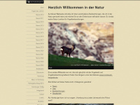 natur-beobachtungen.de Webseite Vorschau
