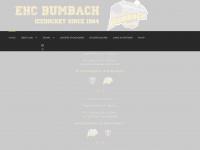 ehc-bumbach.ch Webseite Vorschau