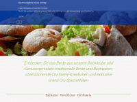 ehliger.ch Webseite Vorschau