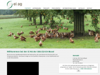 eiag.ch Webseite Vorschau
