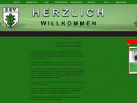 eichholz-handball.de