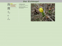 eichkogel.at Webseite Vorschau