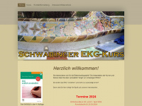 ekgkurs.de Webseite Vorschau