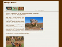 ekongo-kaross.de Webseite Vorschau