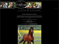 el-aaliyah-arabians.de Thumbnail