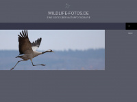 Elbe-wildlife-fotos.de