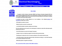 electrical-neuroimaging.ch Webseite Vorschau