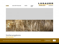 lugauer-gmbh.com