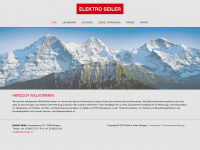 elektroseiler.ch Webseite Vorschau