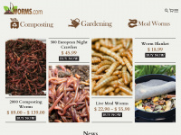 worms.com Webseite Vorschau