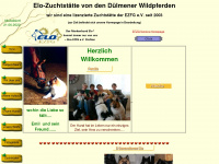 elo-duelmen.de Webseite Vorschau