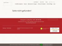 elsaschweiz.ch Webseite Vorschau