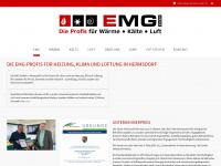 emg-profis.de Webseite Vorschau