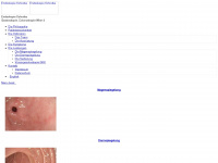 endoskopie-schrutka.at Webseite Vorschau