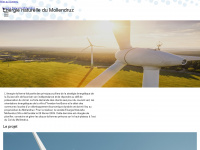 energienaturelle.ch Webseite Vorschau