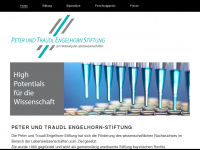 engelhorn-stiftung.de Thumbnail