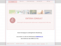 entera.at Webseite Vorschau