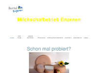 enzenen.ch Webseite Vorschau