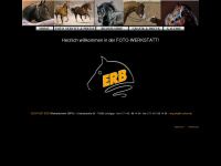 Erb-horsefoto.de