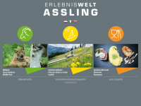 erlebniswelt-assling.at Webseite Vorschau