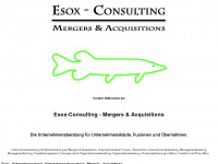 esox-consulting.de Webseite Vorschau